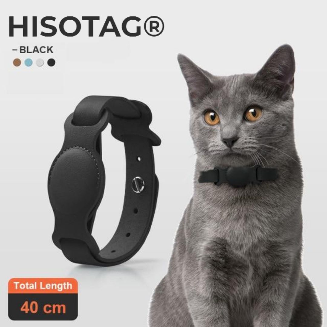 cat collar airtag noir