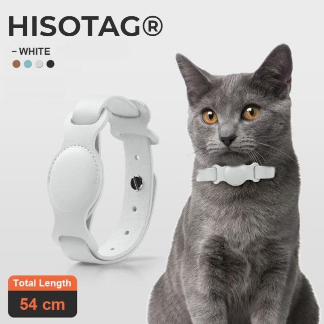 cat collar airtag blanc