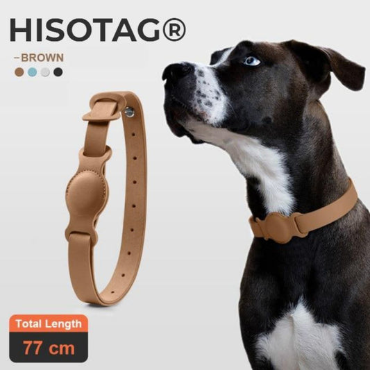 dog collar airtag brown