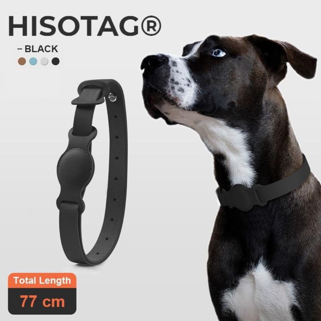 dog collar airtag black