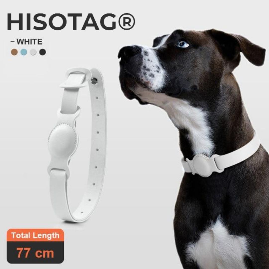 dog collar airtag white