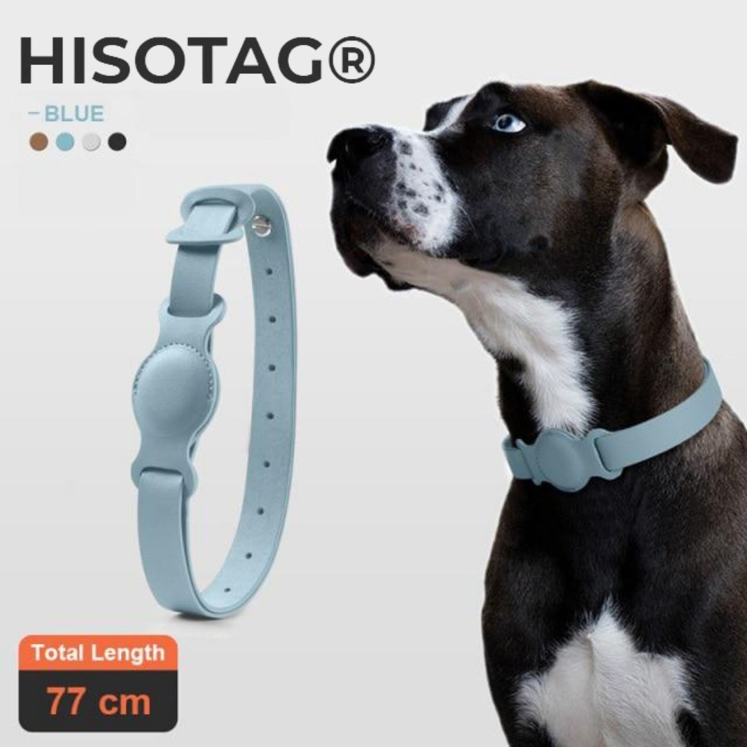 dog collar airtag blue