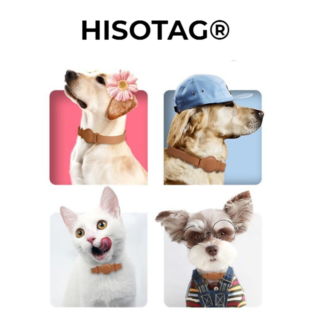 dogs and cats with airtag collar
